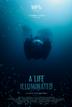 A Life Illuminated